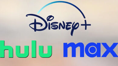 Disney+, Hulu’dan Sonra Max İçeriklerini de Gösterecek